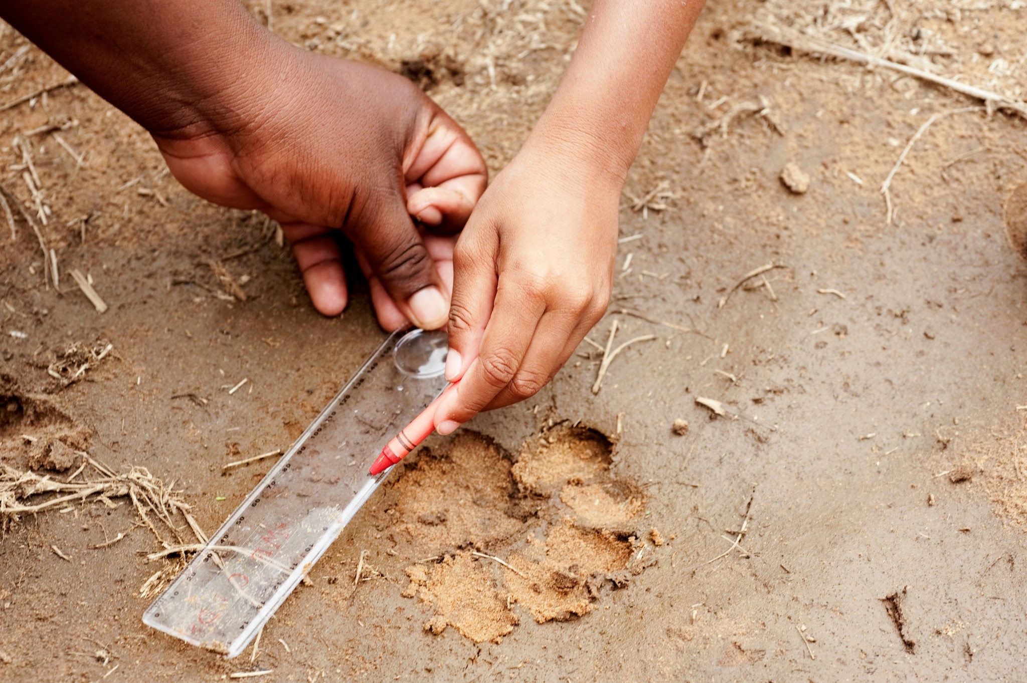Family trip South Africa, South Africa, animal tracks