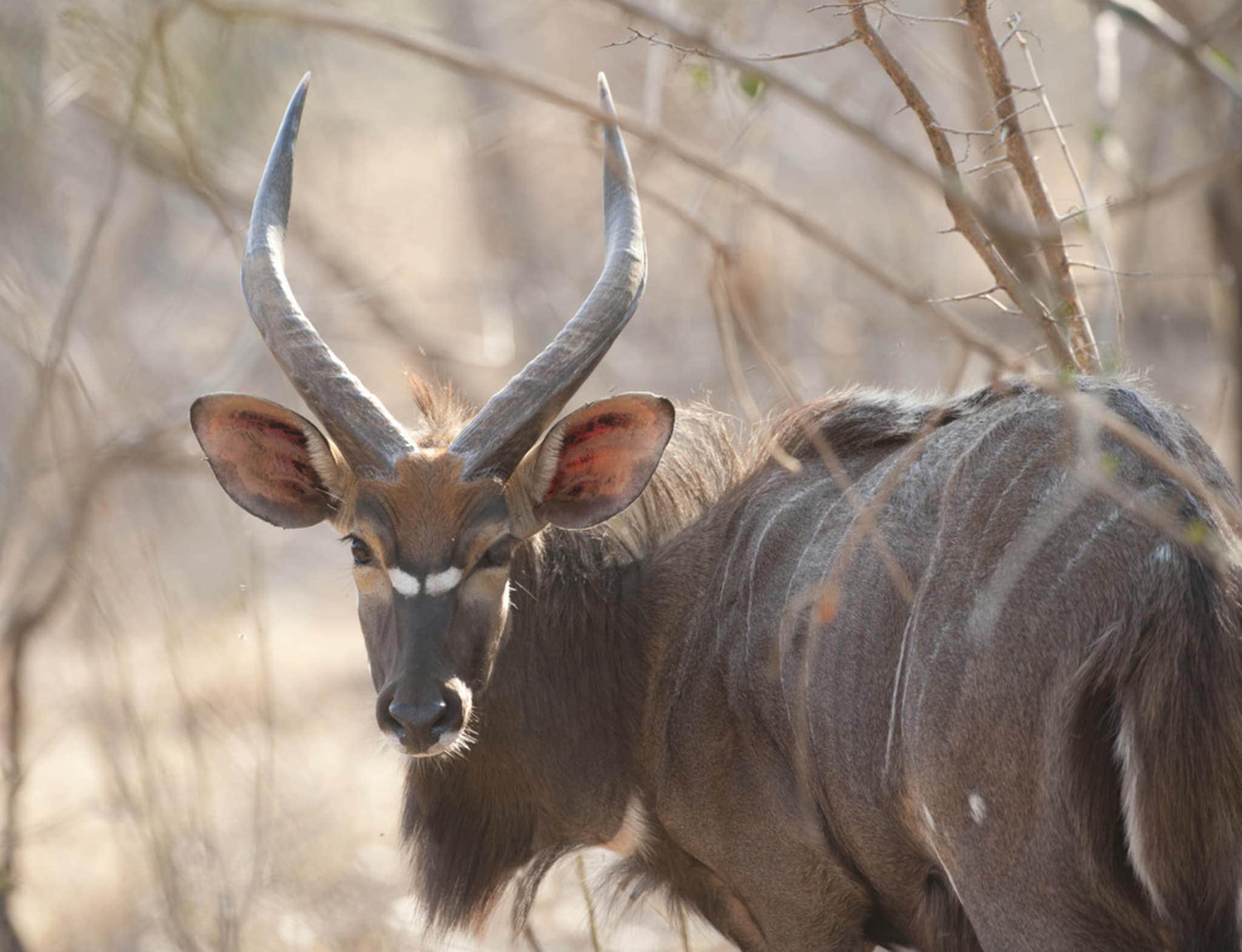 Zuidelijk Malawi, rondreis per