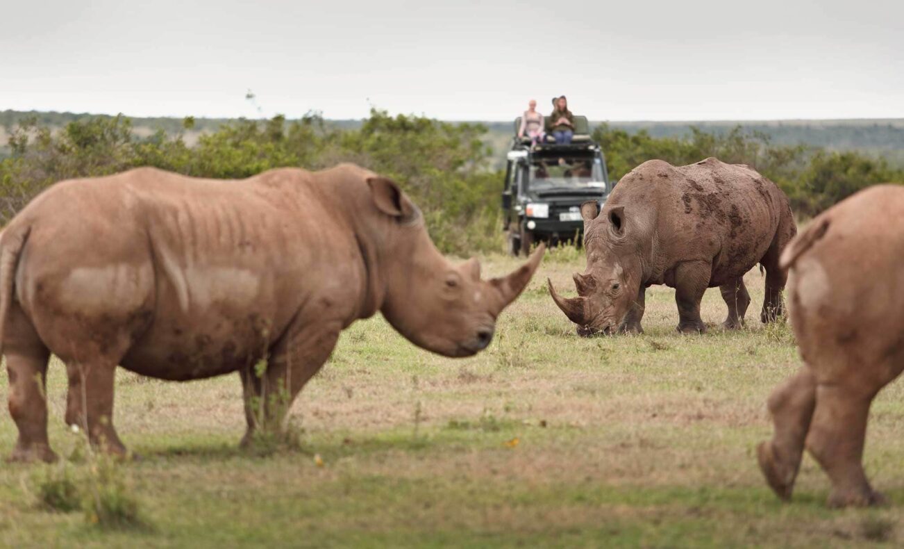 Solio Lodge, Kenia, The Safari Collection, safari