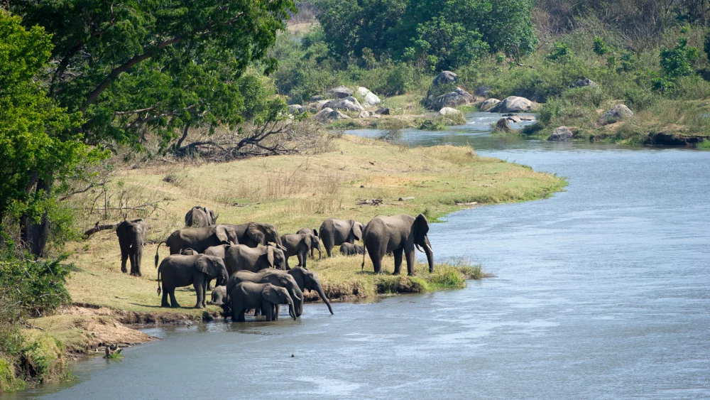 Malawi - Mkulumadzi Lodge