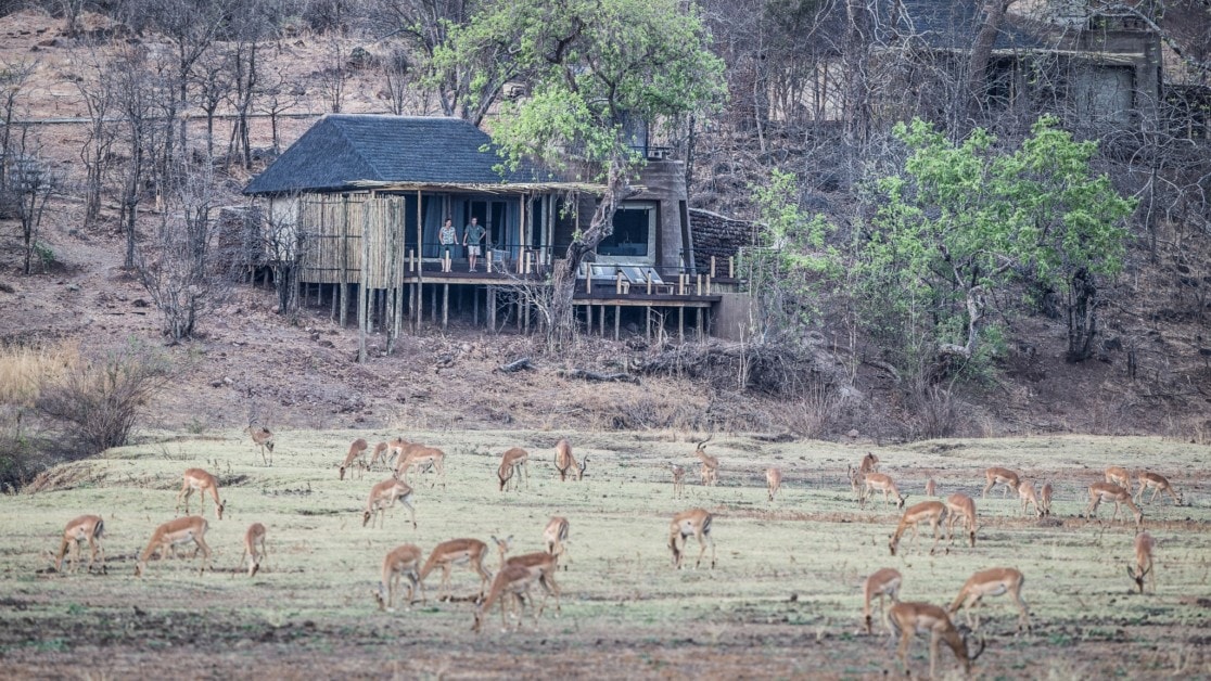 Puku Ridge, Zambia,wildlife on your doorstep