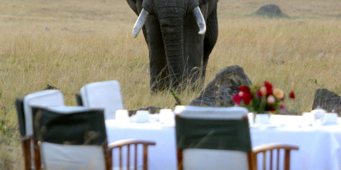Kenya's beach & bush