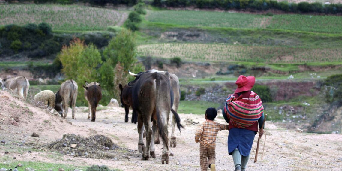 Rondreis Peru & Ecuador