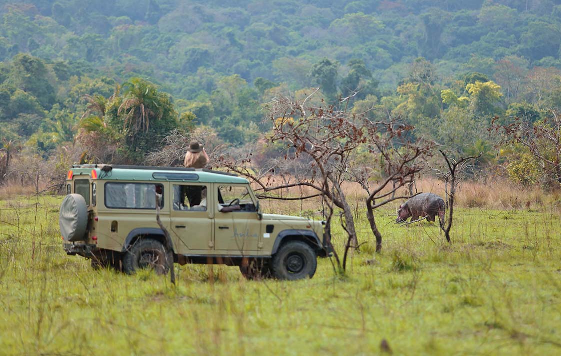 Rubondo Island Camp, Tanzania