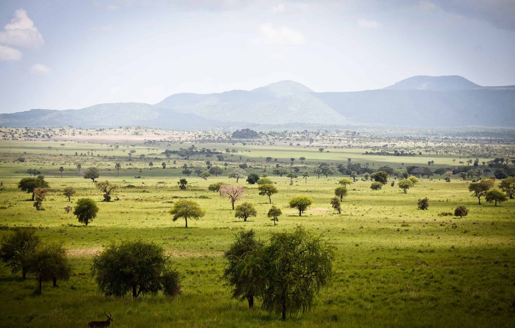 Uganda Kidepo Valley National Park, Oeganda, landschap