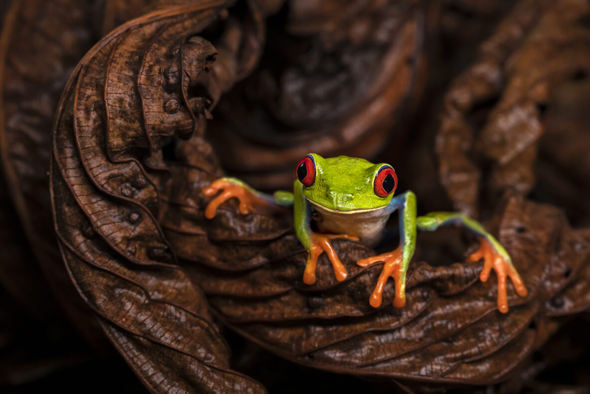 Rondreis Costa Rica