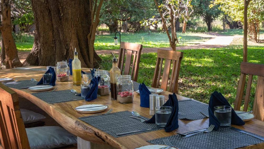 Nkwali Camp, Zambia - Robin Pope Safaris