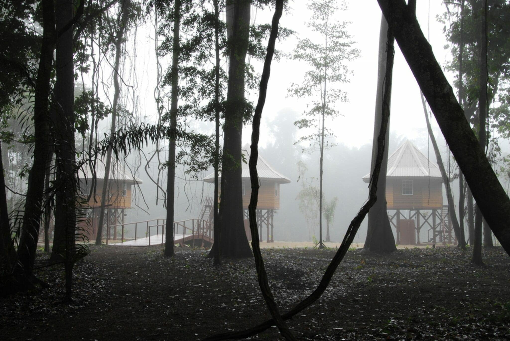 Suriname Kabalebo Nature Resort