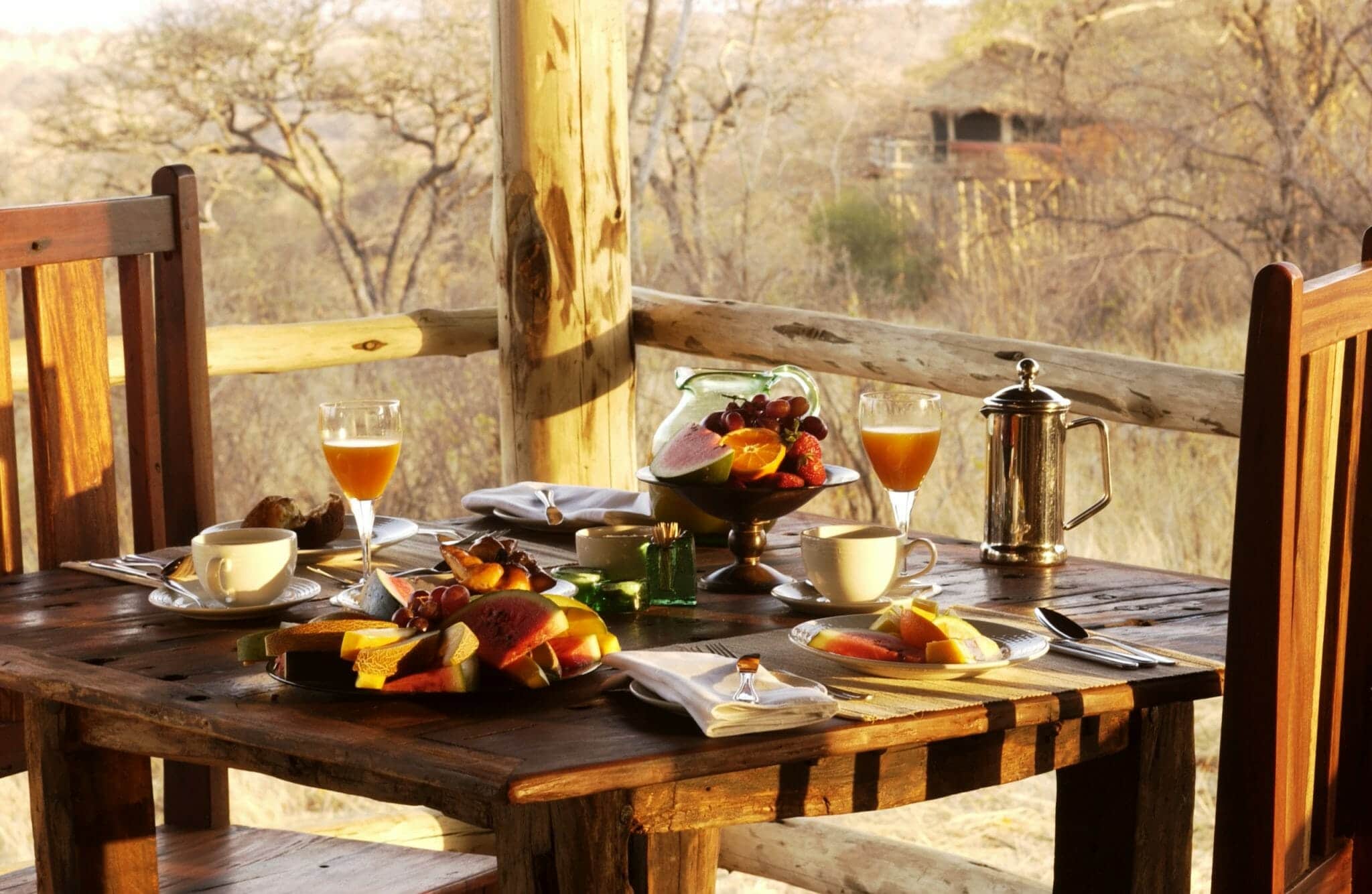 Tanzania Tarangire Tree Tops