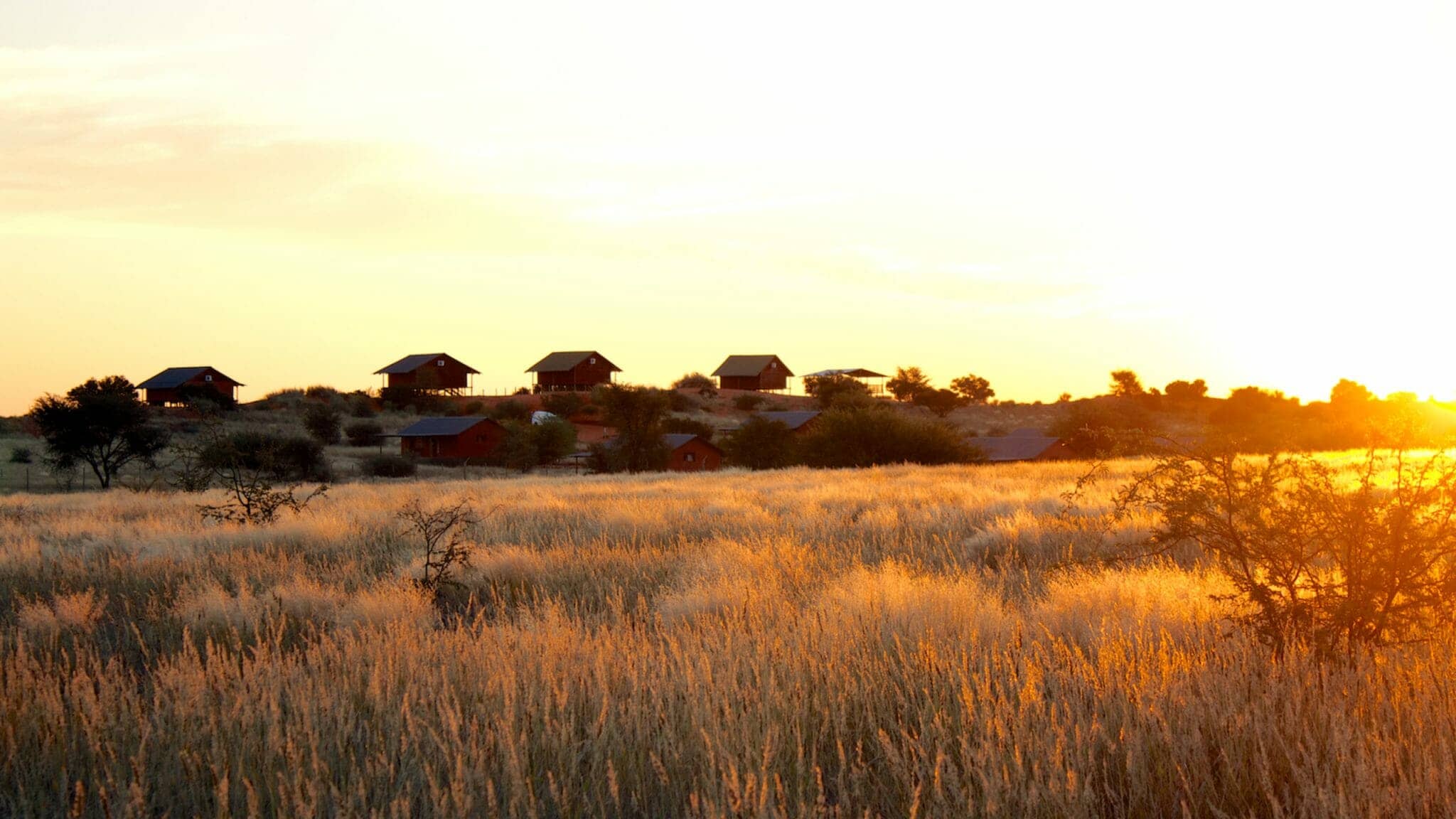 Namibia Bagatelle Kalahari Game Lodge