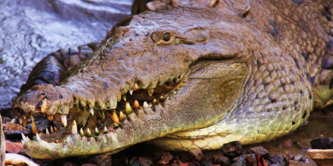 National Parks Panama