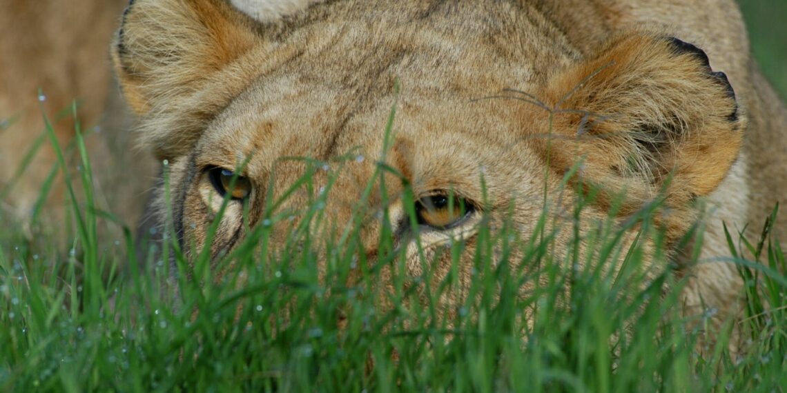 blog Vier nieuwe natuurreservaten Eastern Cap