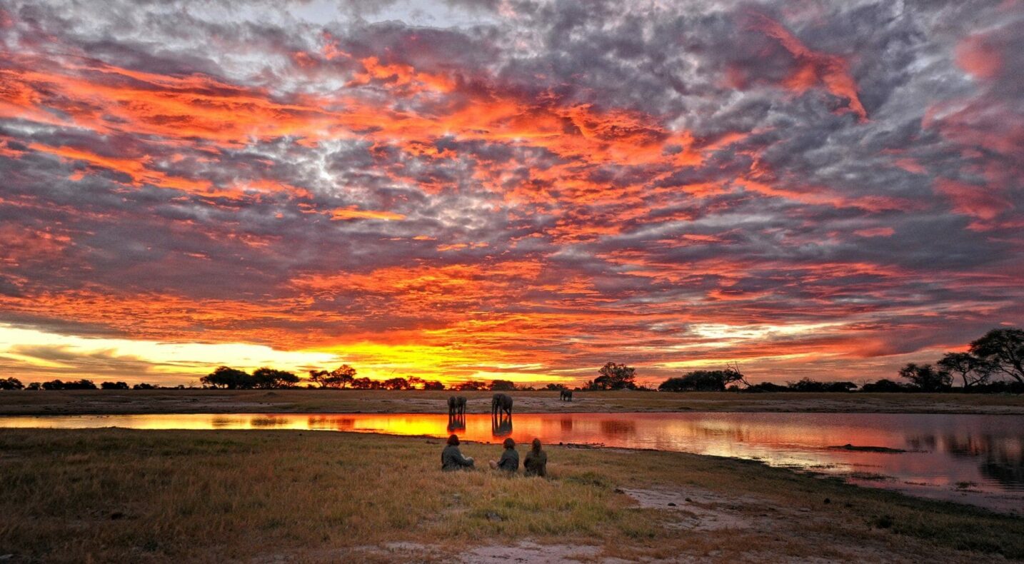 Somalisa Acacia Camp