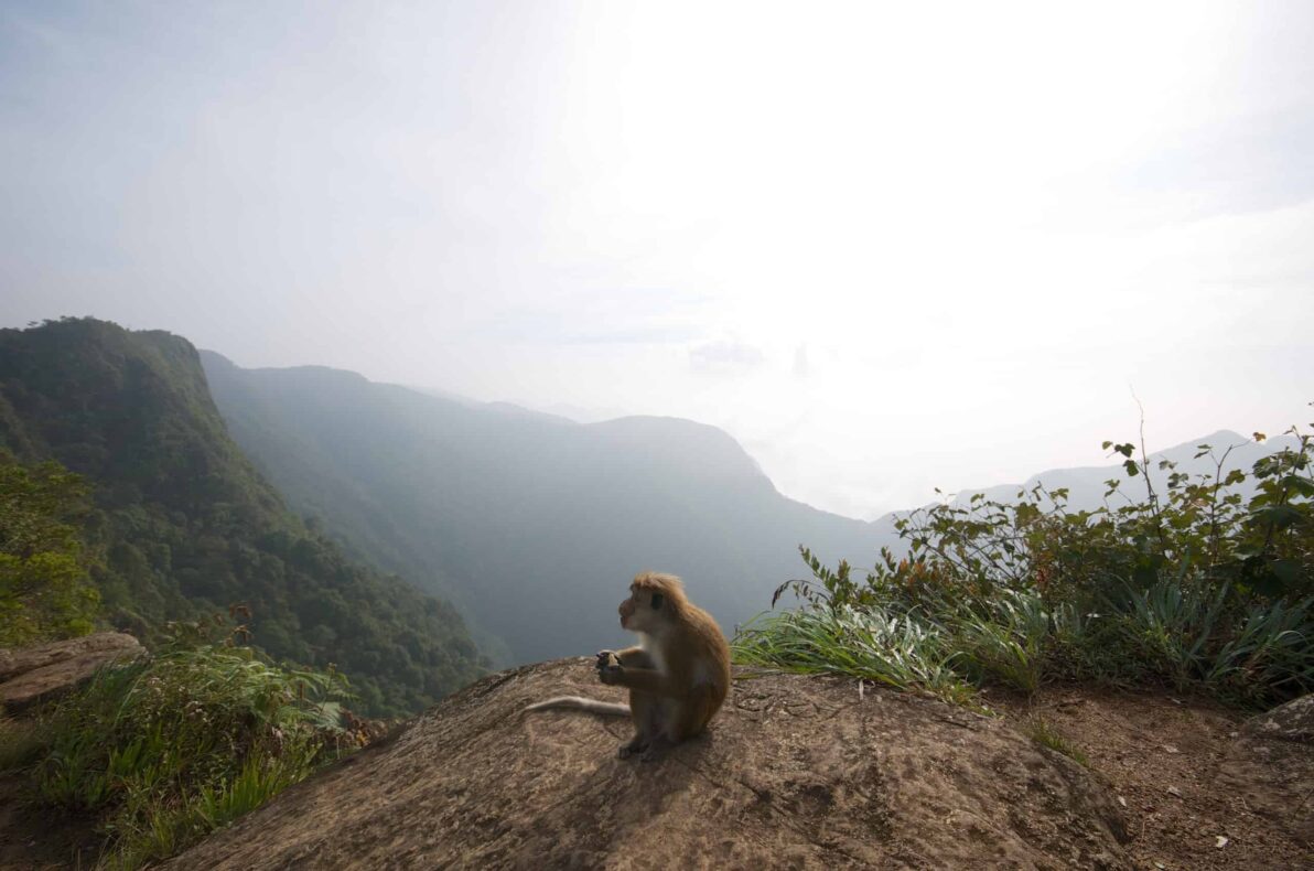 Sri Lanka Horton Plains National Park