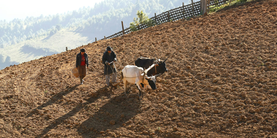 Bhutan Valleys