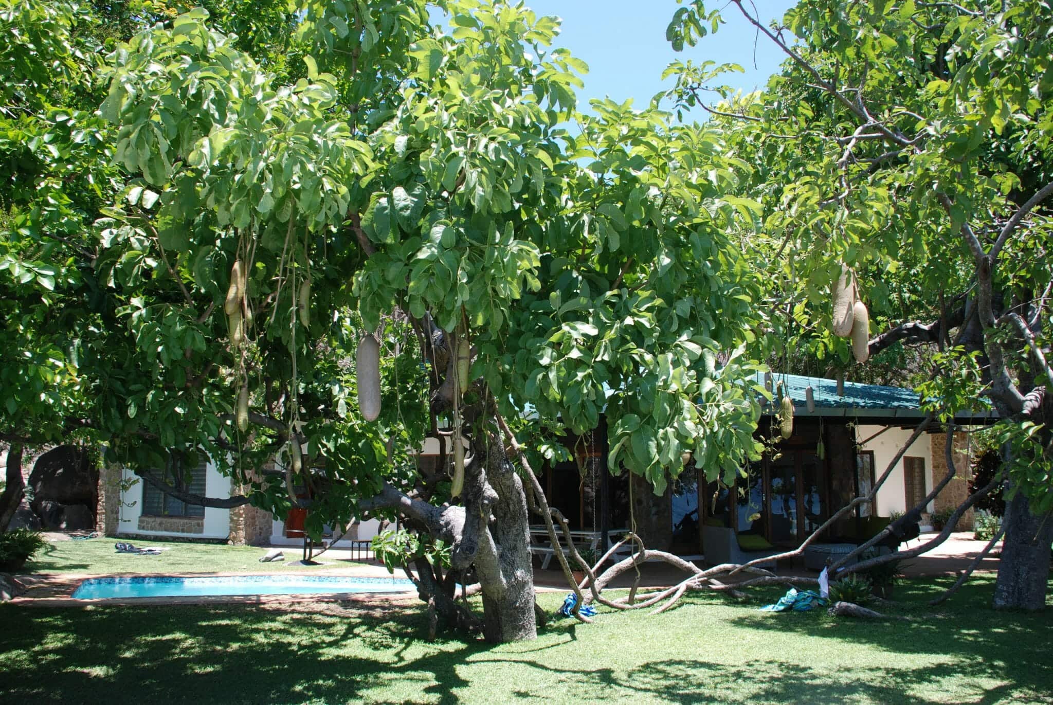 Malawi Madzi Kuwala Lake Retreat