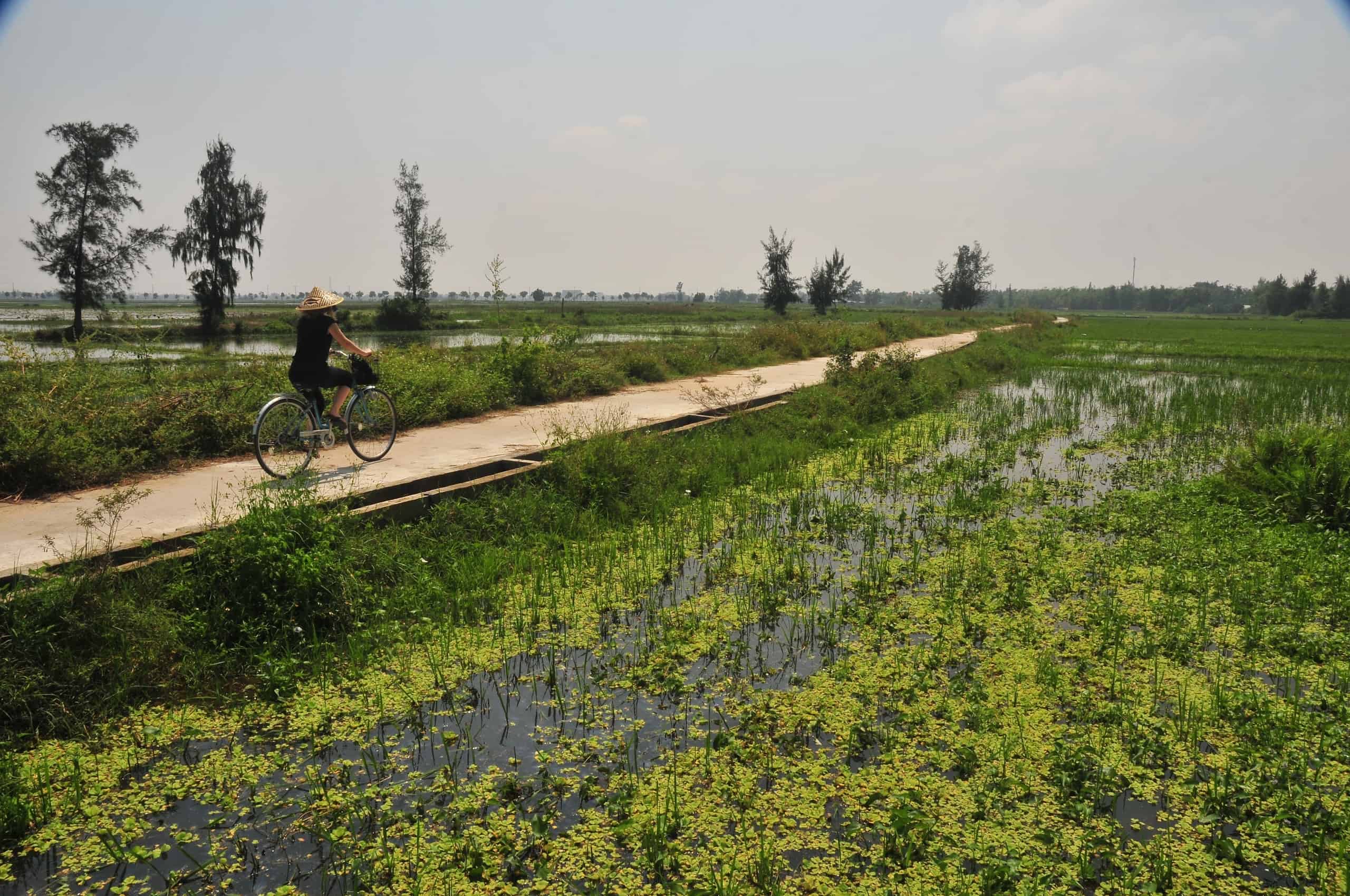 Vietnam's Mekong Delta