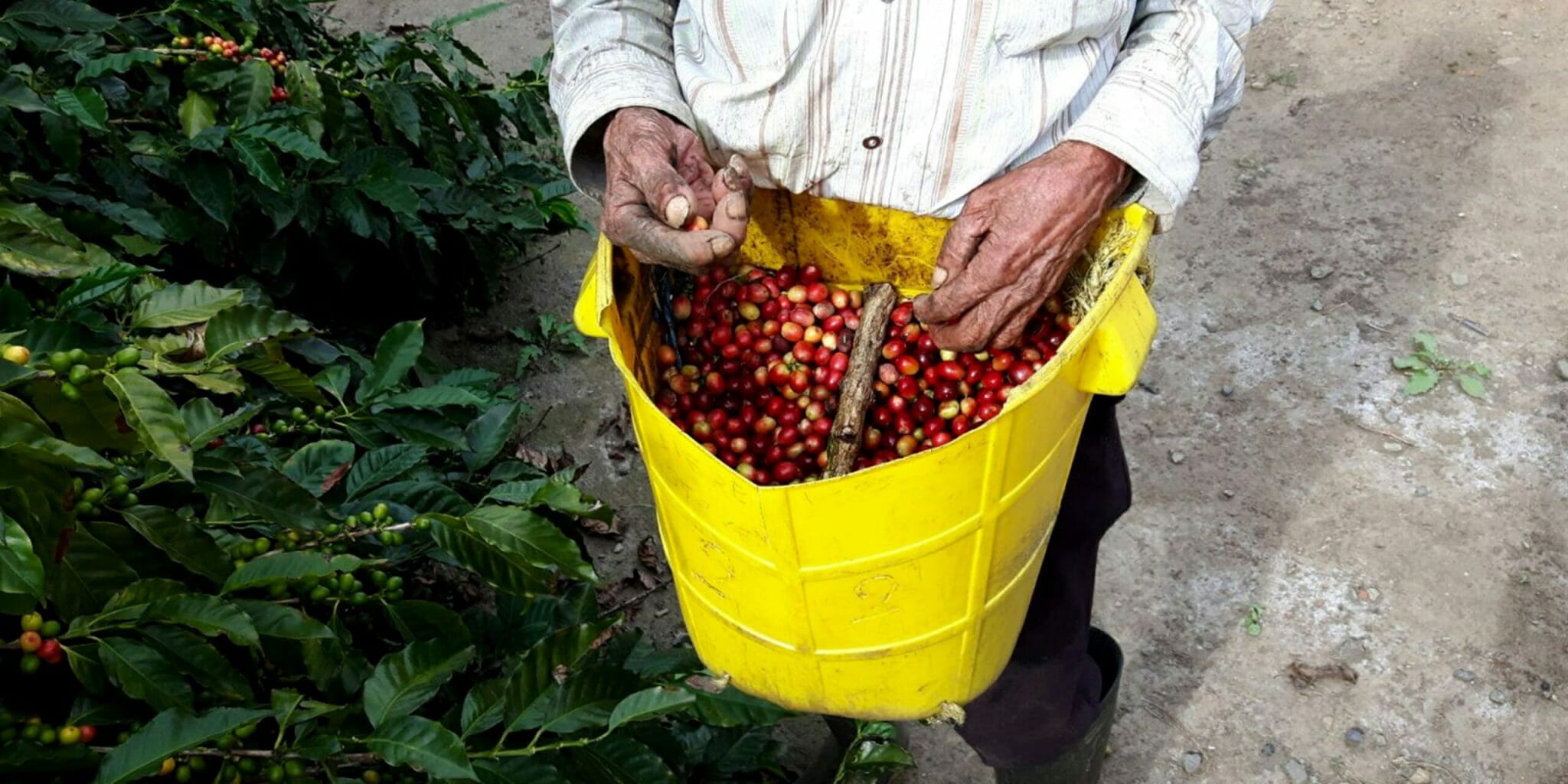 Blog Colombia Robert