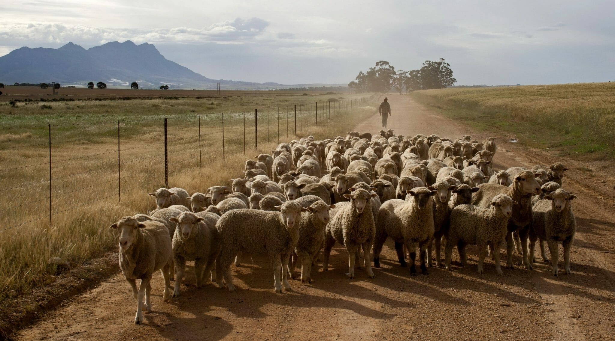 South Africa Bartholomew Cliff Farmhouse