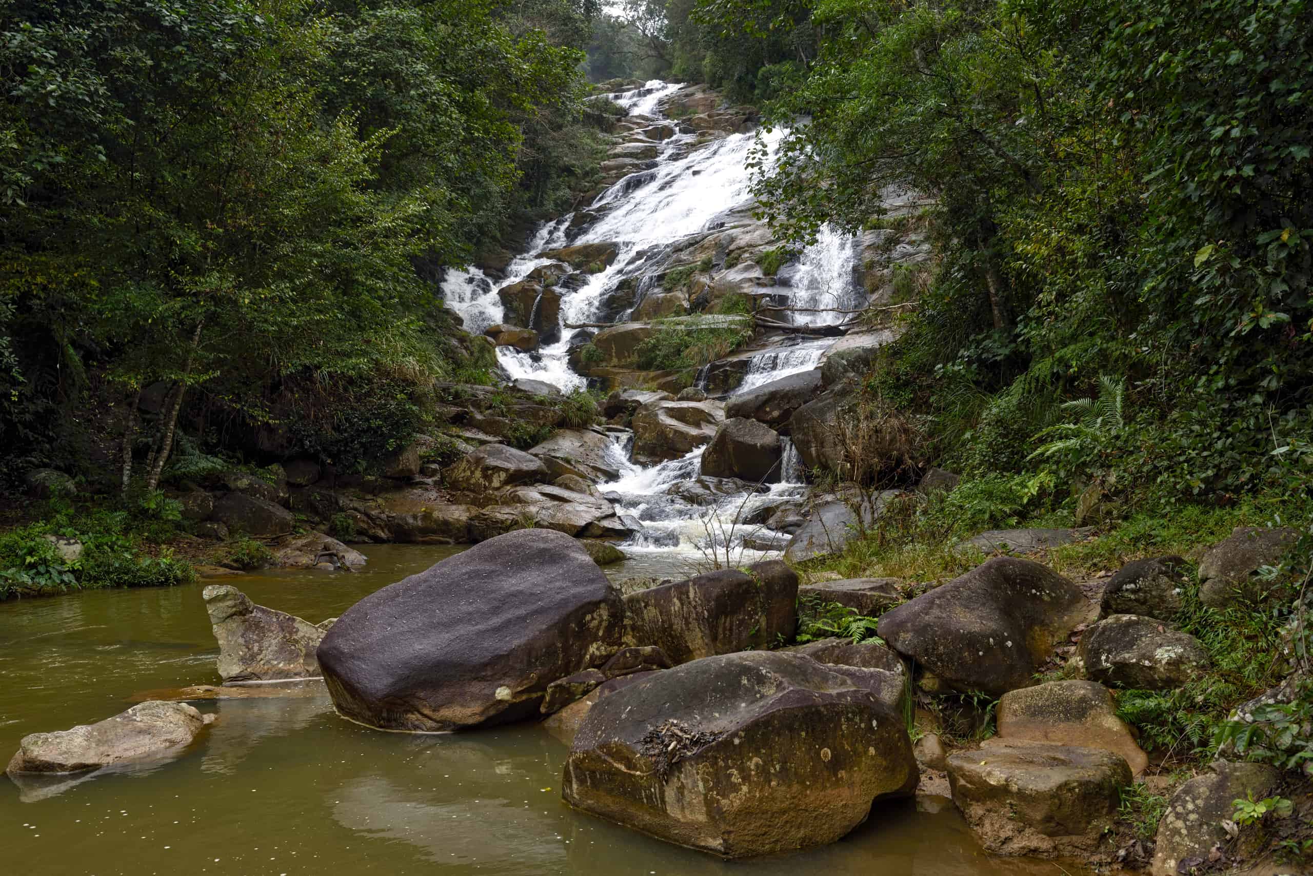Laos Nam Kat's Rainforest Yola Pa