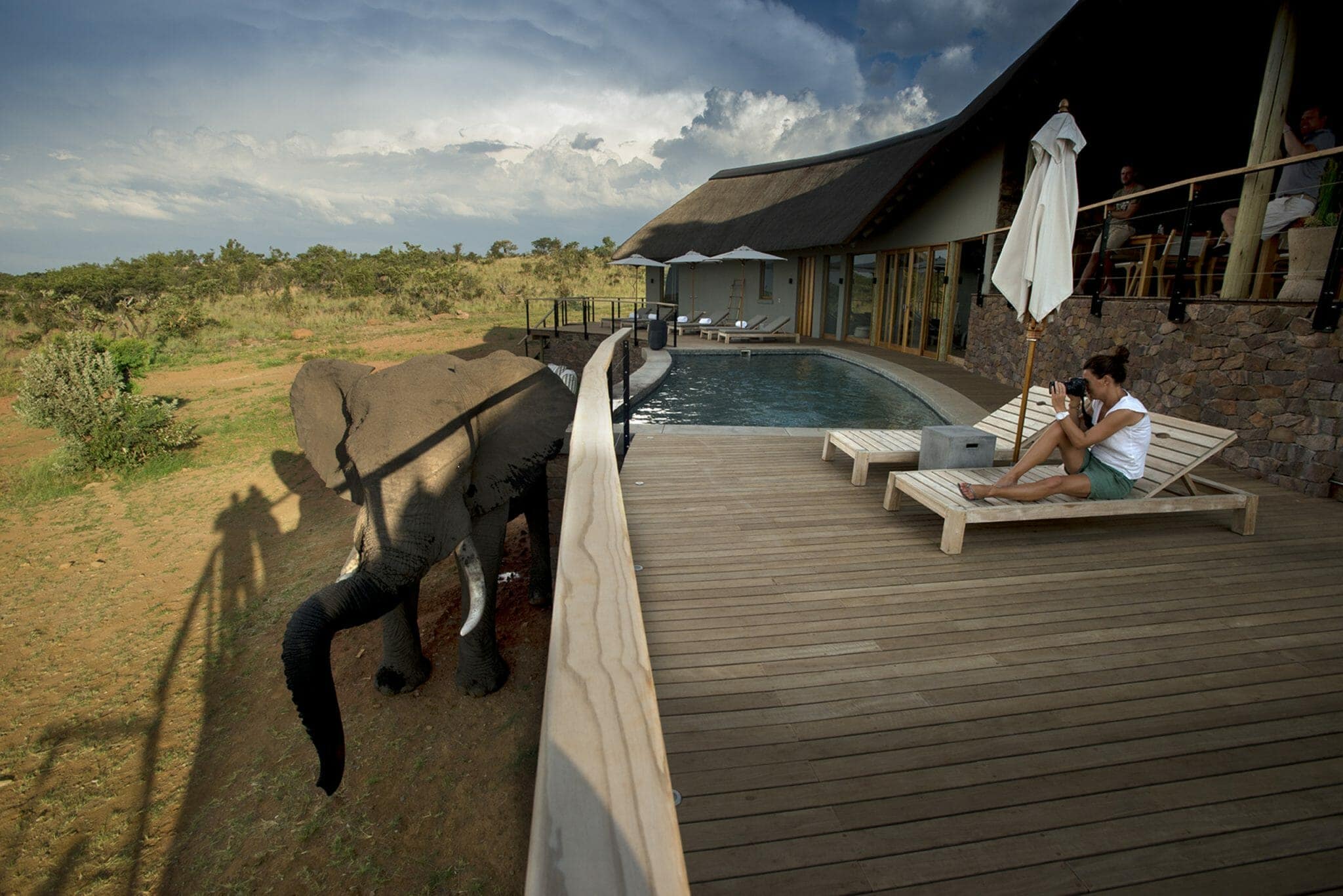 South Africa Mhondoro Game Lodge