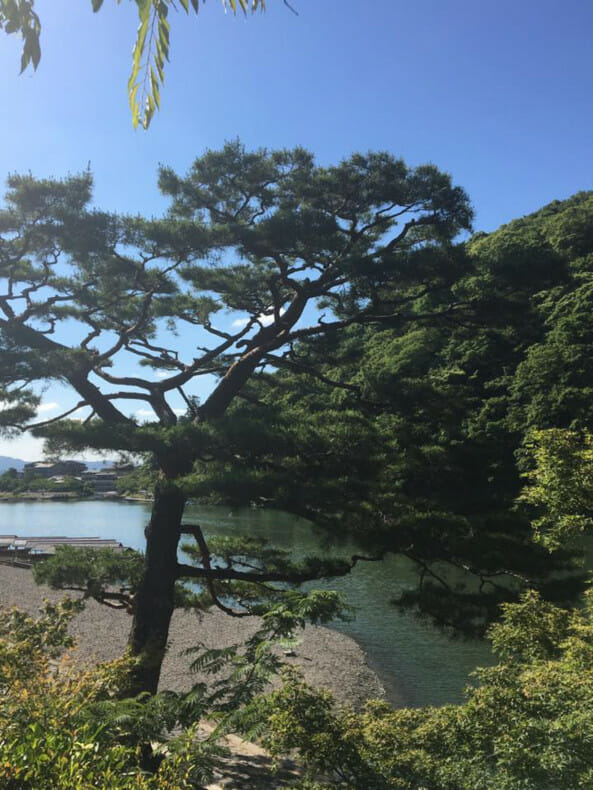 Blog Japan - Carla