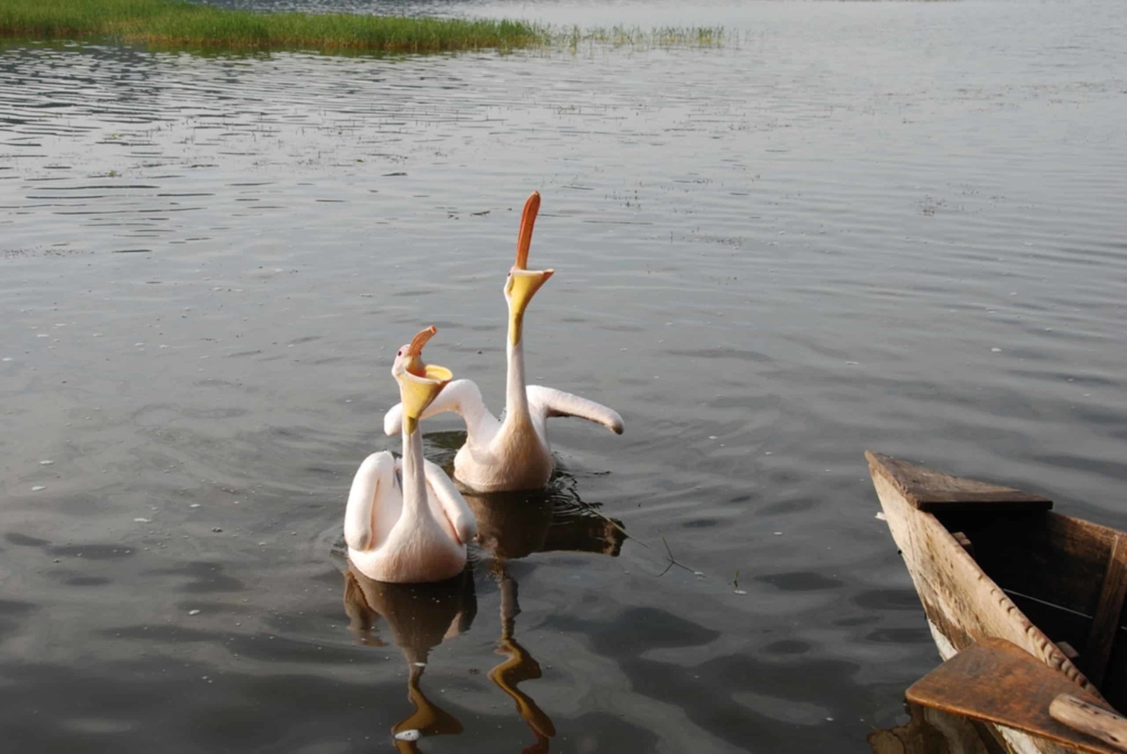 Ethiopia's Lake Tana and Blue Nile waterfalls