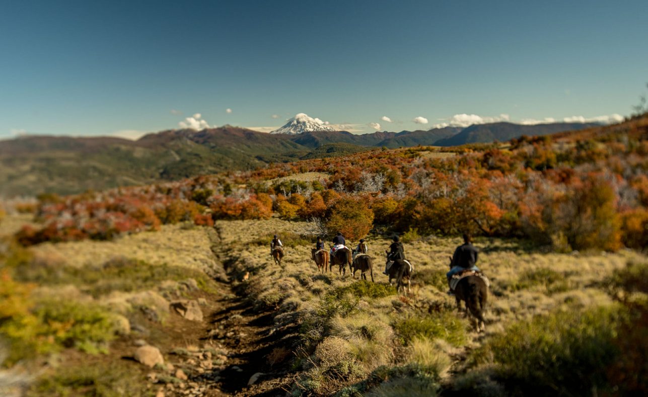 Northern Patagonia on horseback