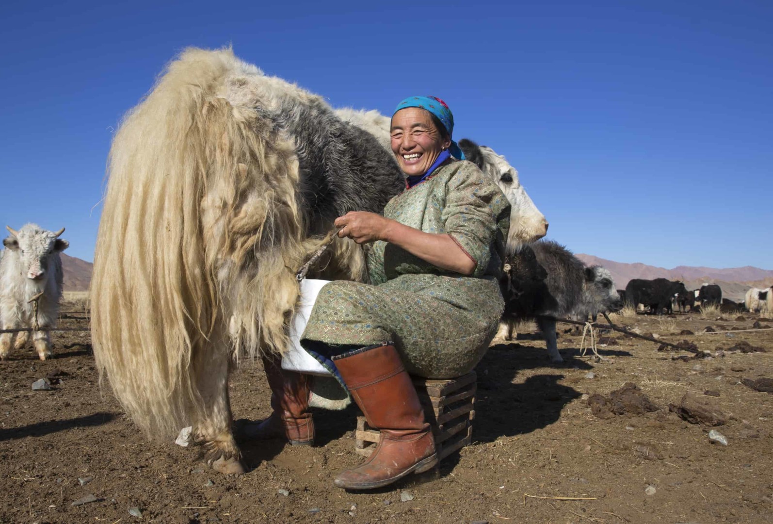 Mongolia's Mongolian cuisine