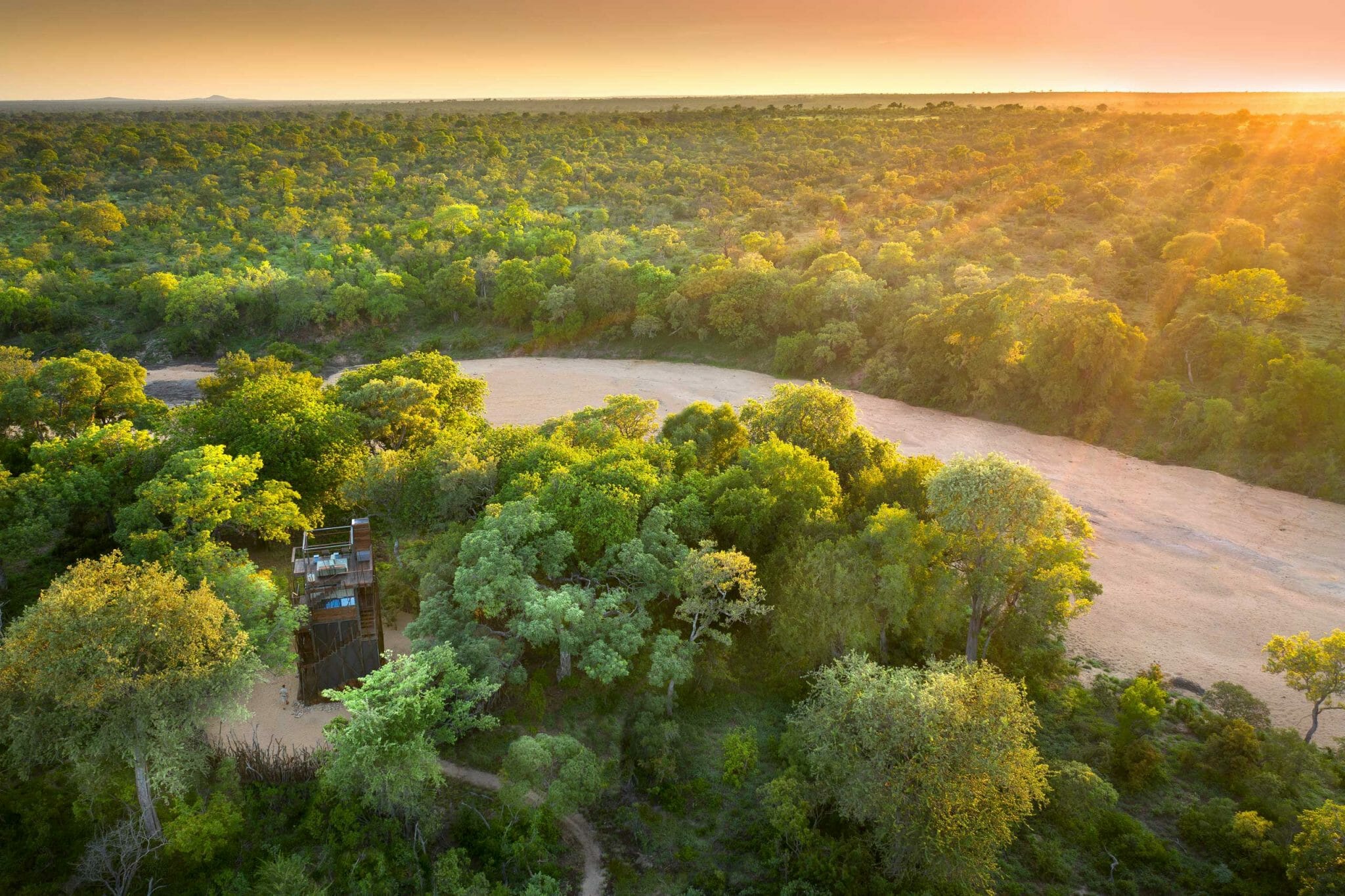 South Africa Ngala Treehouse