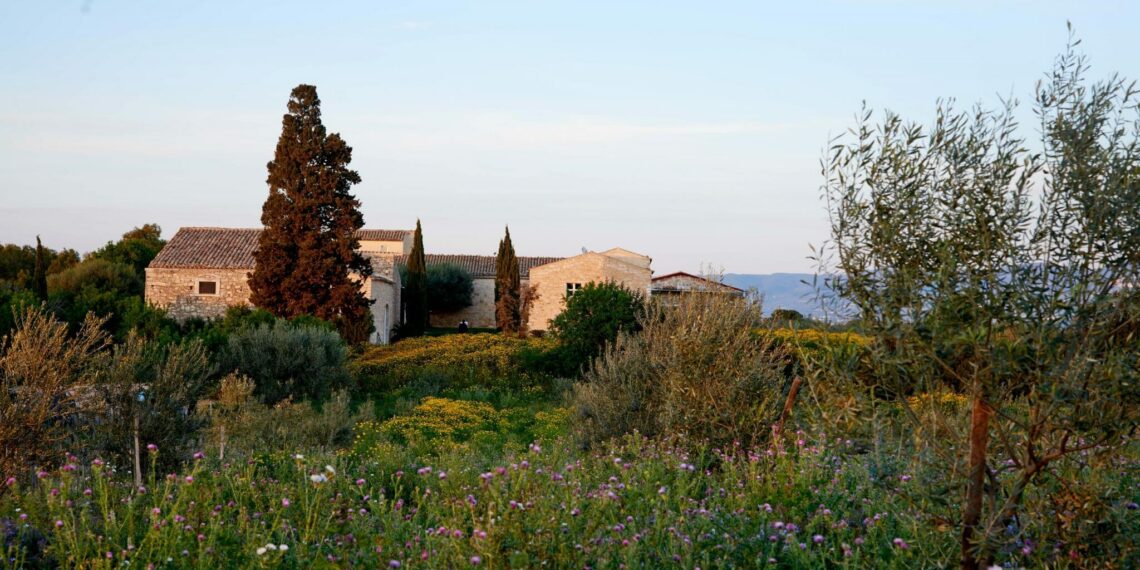 Italy Baglio Occhipinti