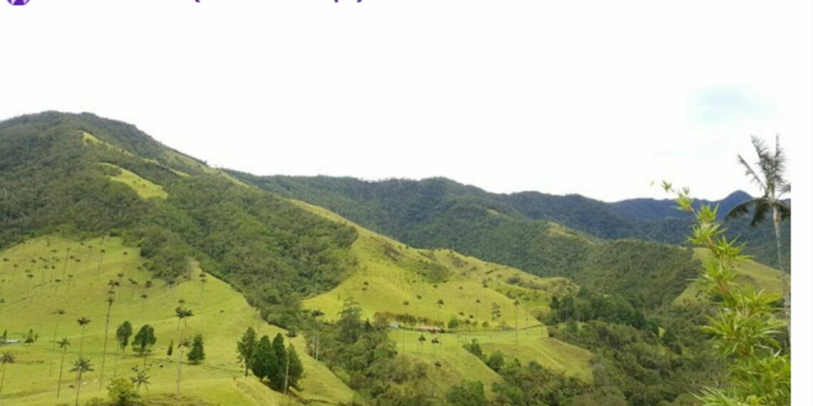 Studiereis-rapport Colombia op Reisbizz.nl