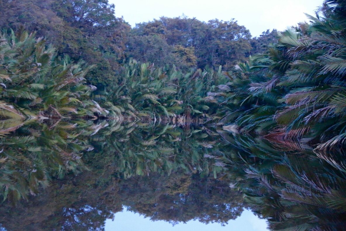 Highlight Malaysia - Royal Belum State Park