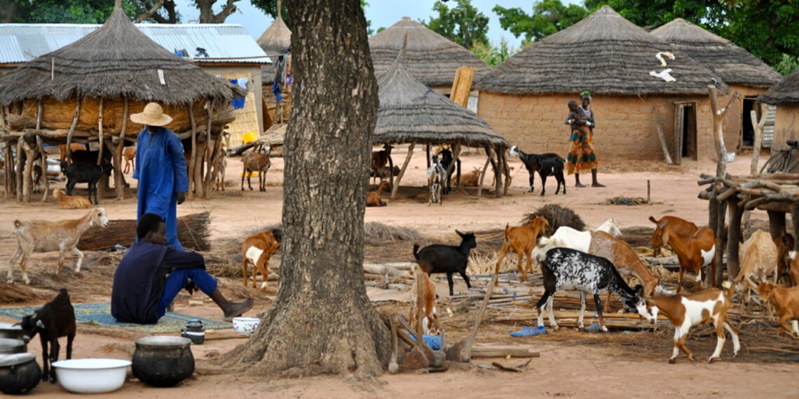 Rondreis door Burkina Faso