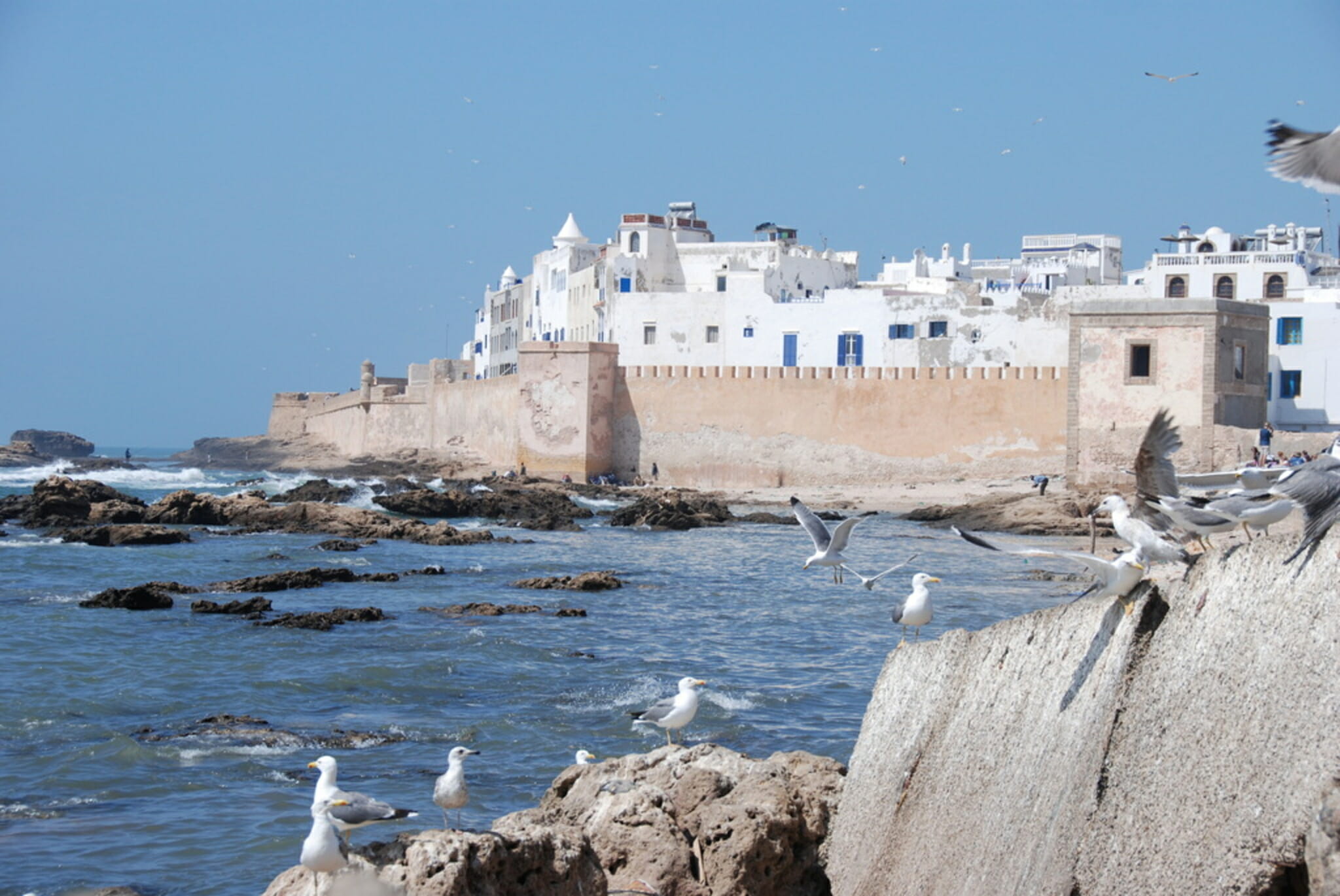 Complete tour of Morocco