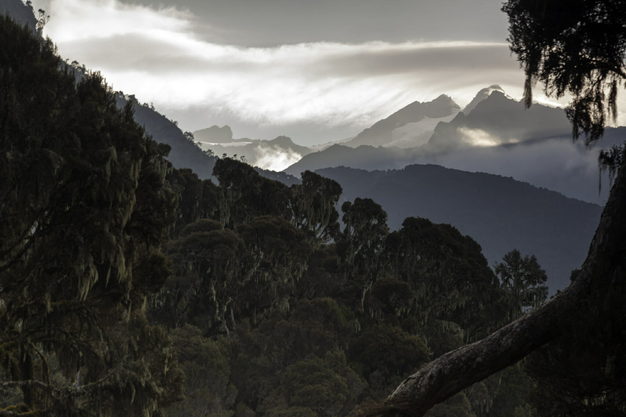 Uganda Gorillas and Wildlife Tour