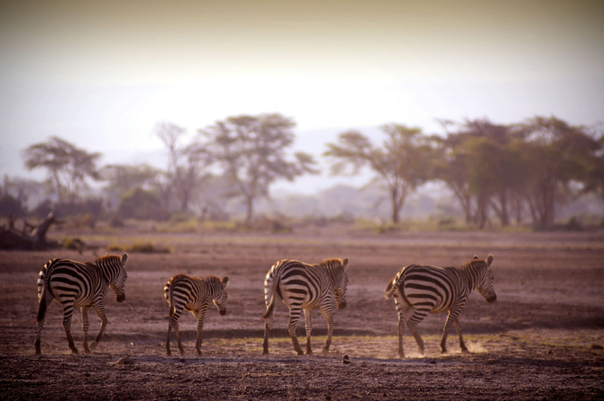 Tour Uganda and Tanzania