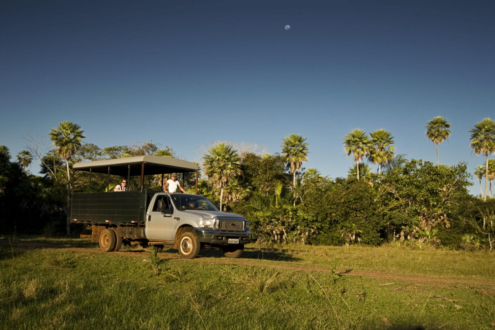 Highlights of the Pantanal