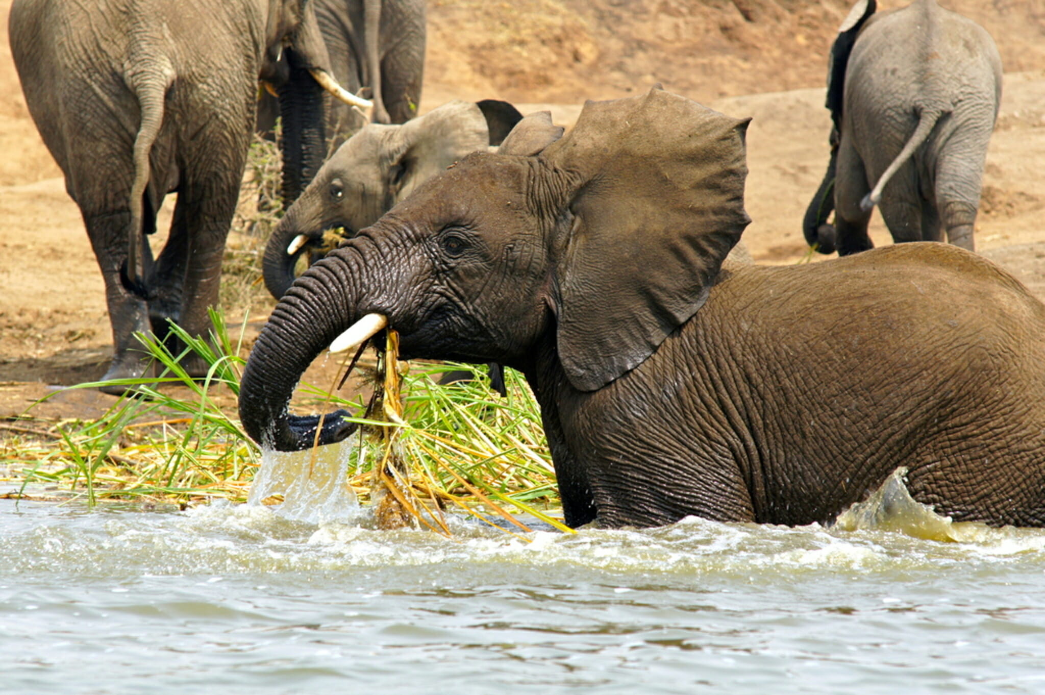 Tour Uganda and Rwanda