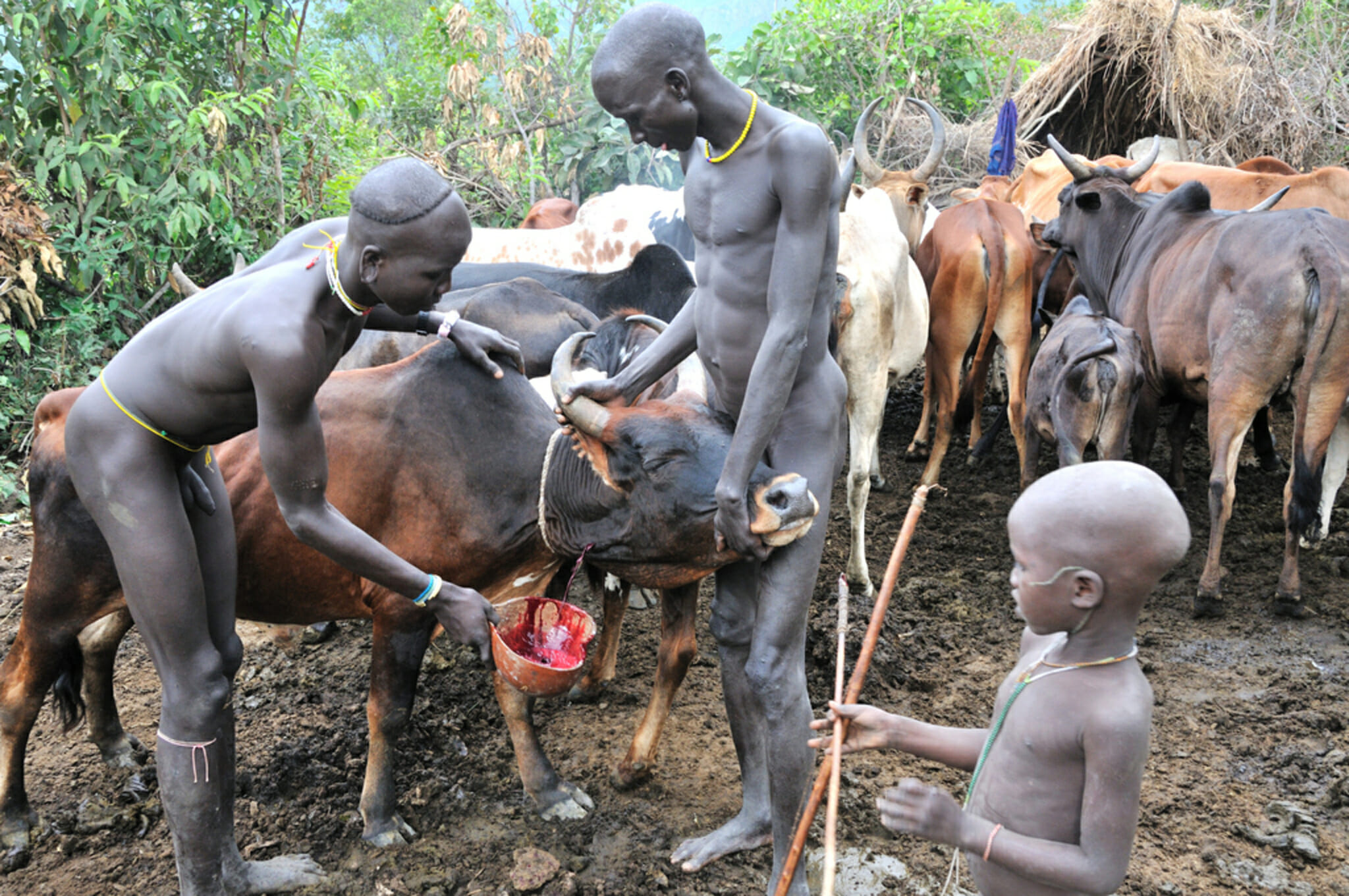 Tribes in the Omo Valley