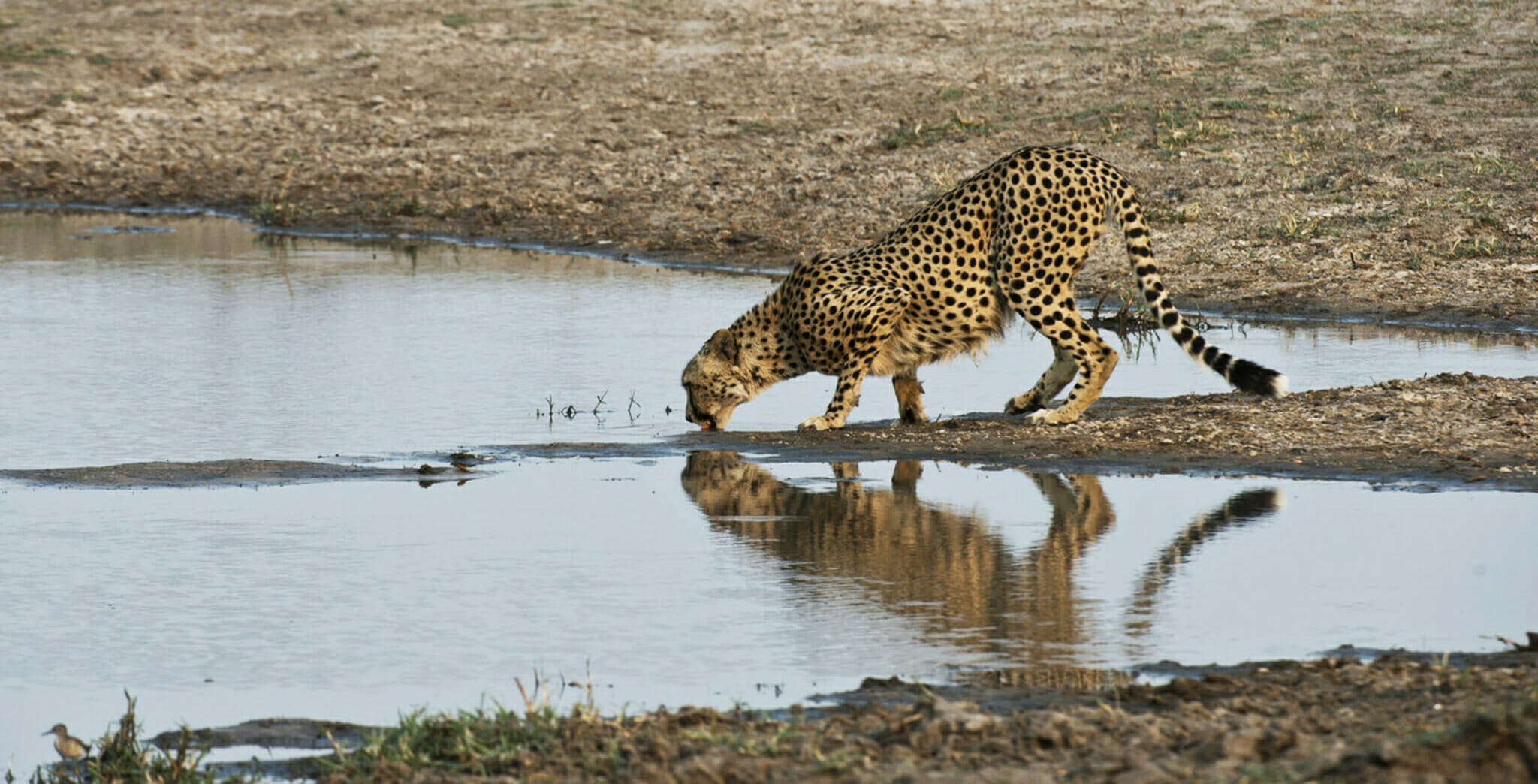 Short trip Zambia & Zimbabwe