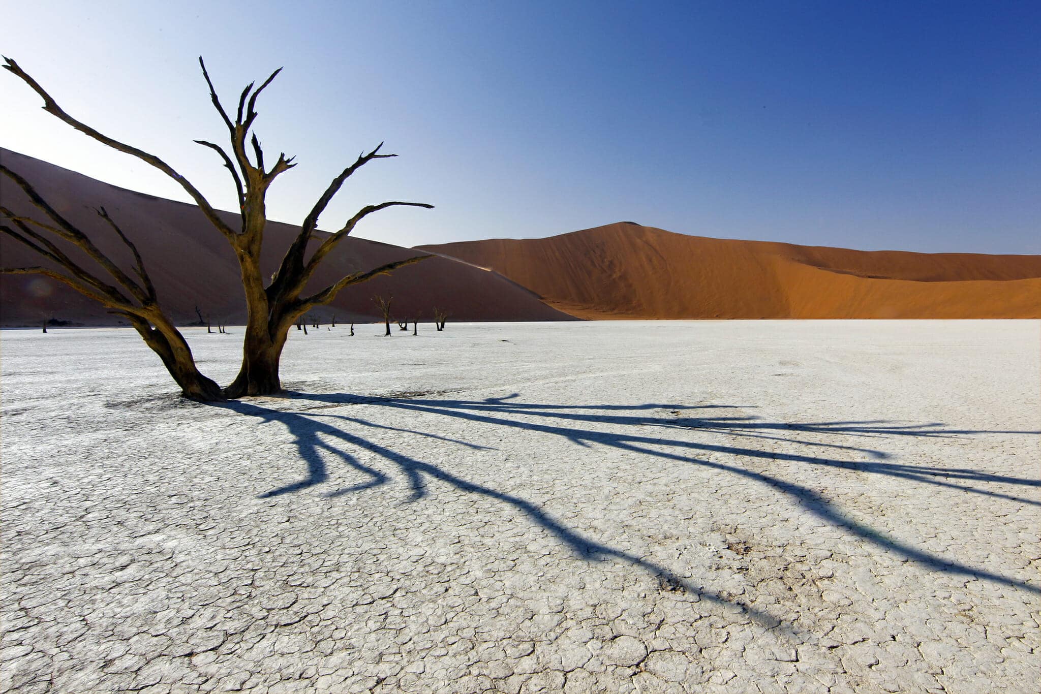 Photo tour Namibia