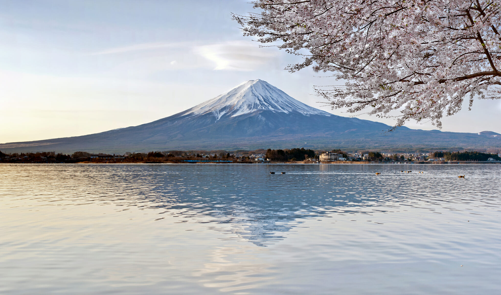 Japan Fuji-San