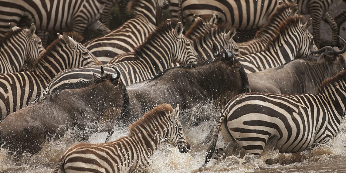 Beach & Bush Kenia