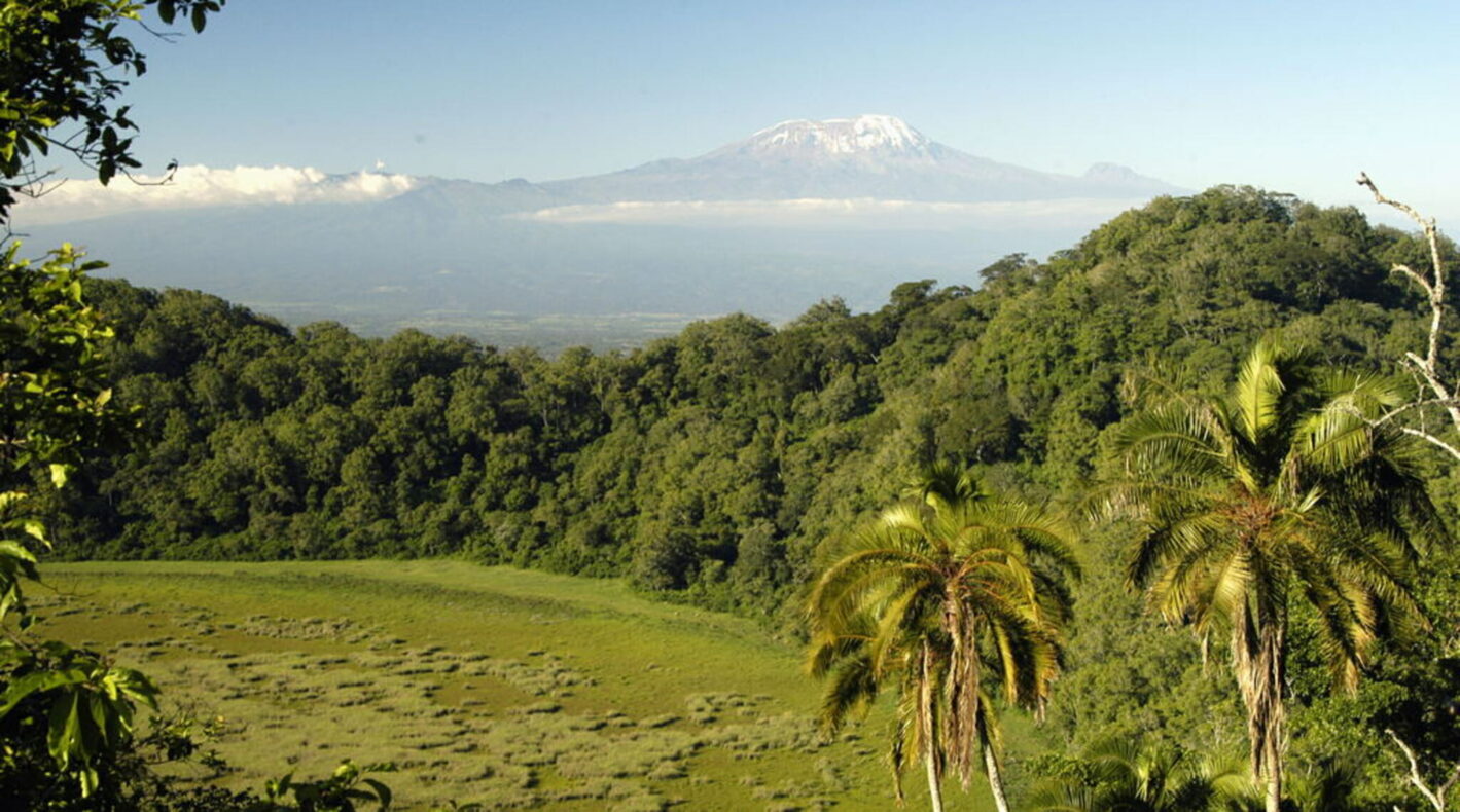 Trektocht Mount Meru en wandelsafari Arusha N.P.
