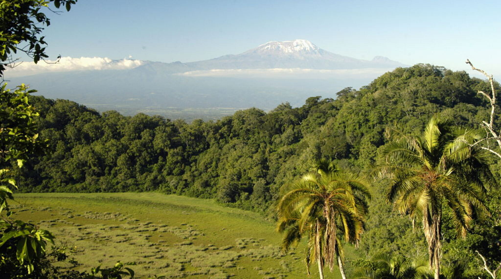 Mount Meru trek and hiking safari Arusha N.P.