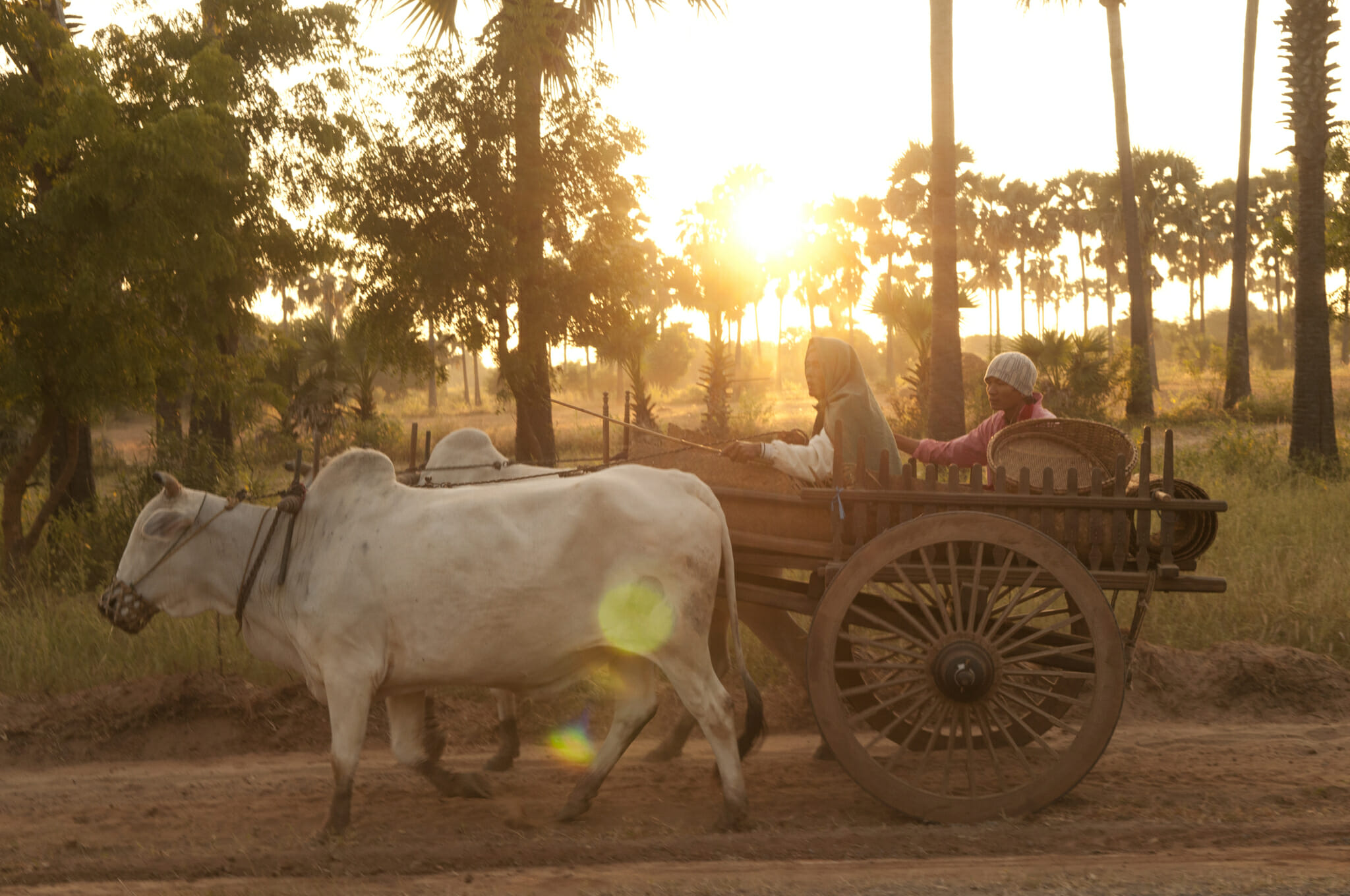 Tour discover Myanmar
