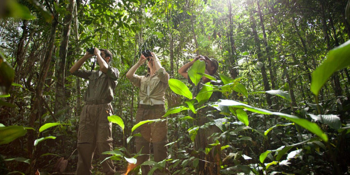 The most beautiful nature reserves in Brazil