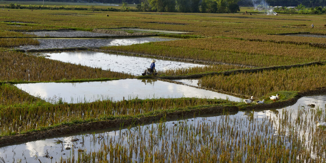 Rondreis Cambodja – Vietnam