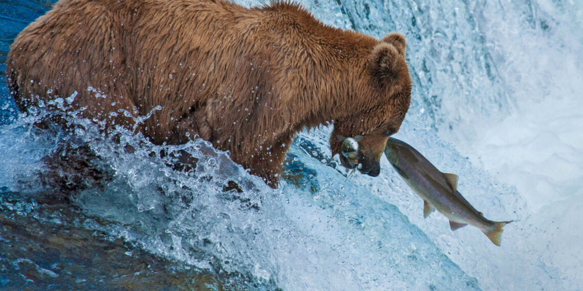 Selfdrive Alaska's Southcentral